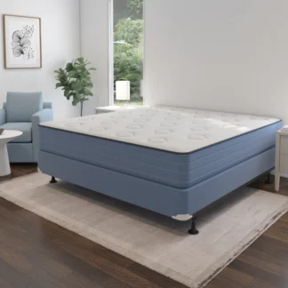 youth and guests mattress
