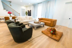 Living Designs Furniture living room