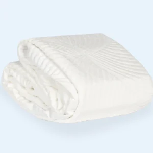 Recover Mattress Protector